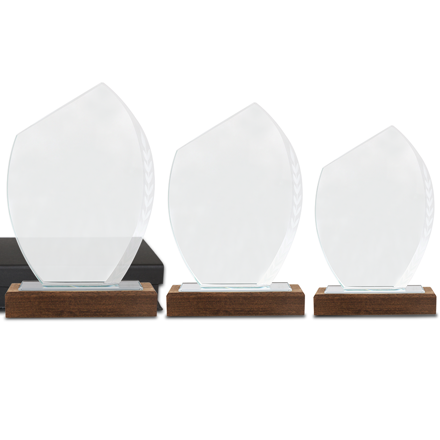 trophée  à offrir en verre et bois
