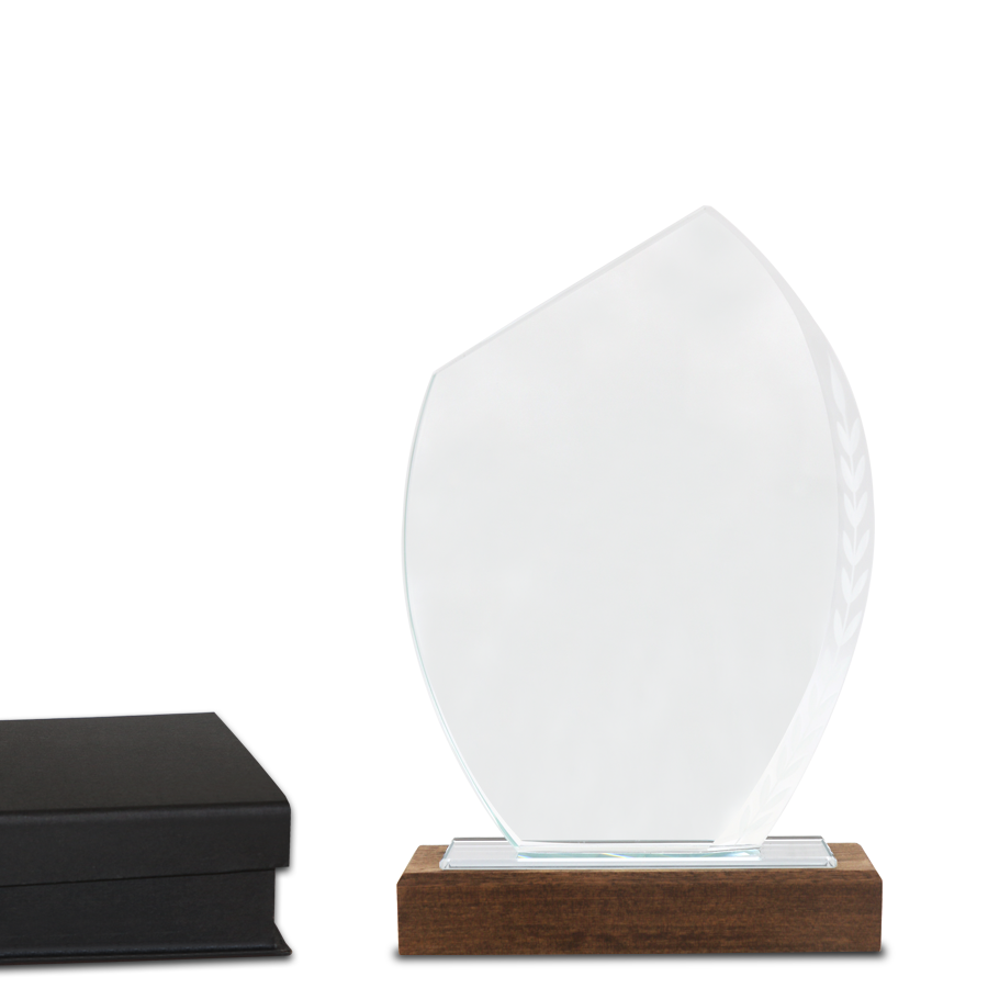 trophée  à offrir en verre et bois
